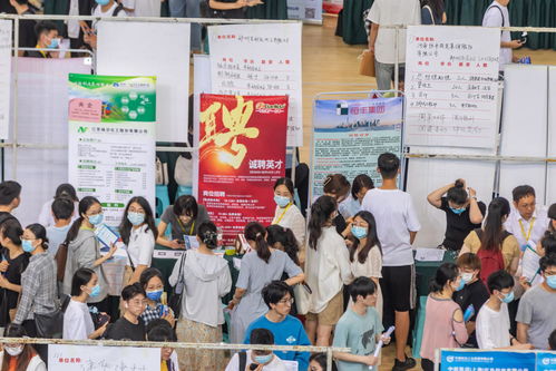 畢業(yè)生就業(yè)壓力加劇 河南啟動長期未就業(yè)群體動態(tài)清零計劃